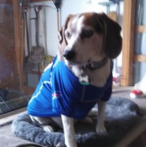 Meet your Posher, Gail